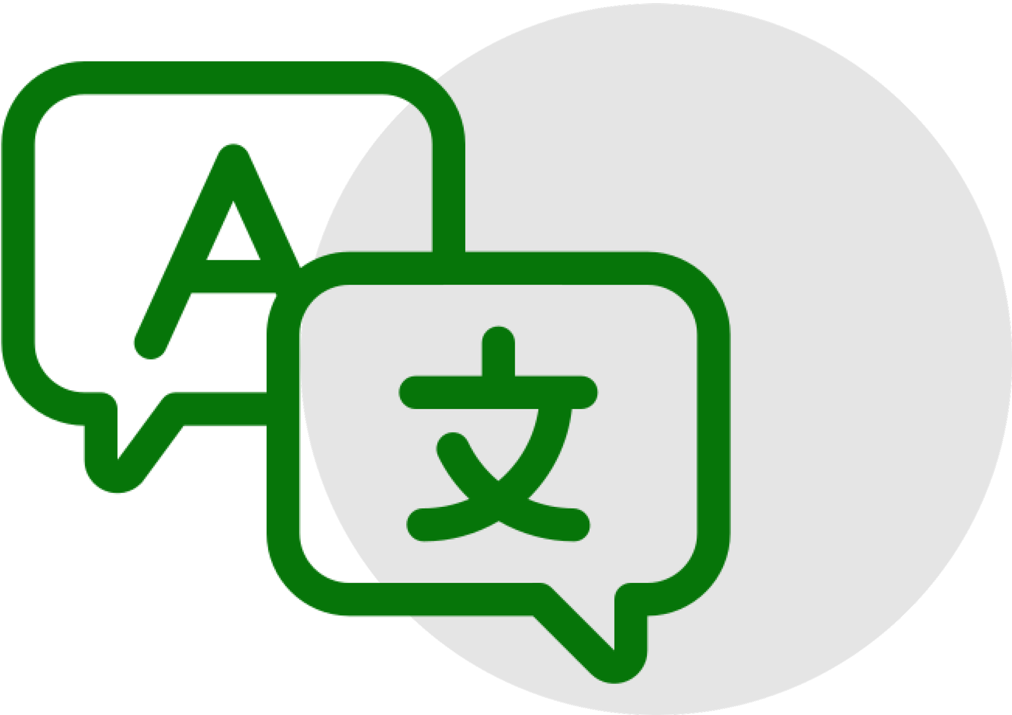 Insight Translation